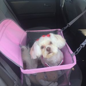 Meet your Posher, Lisa